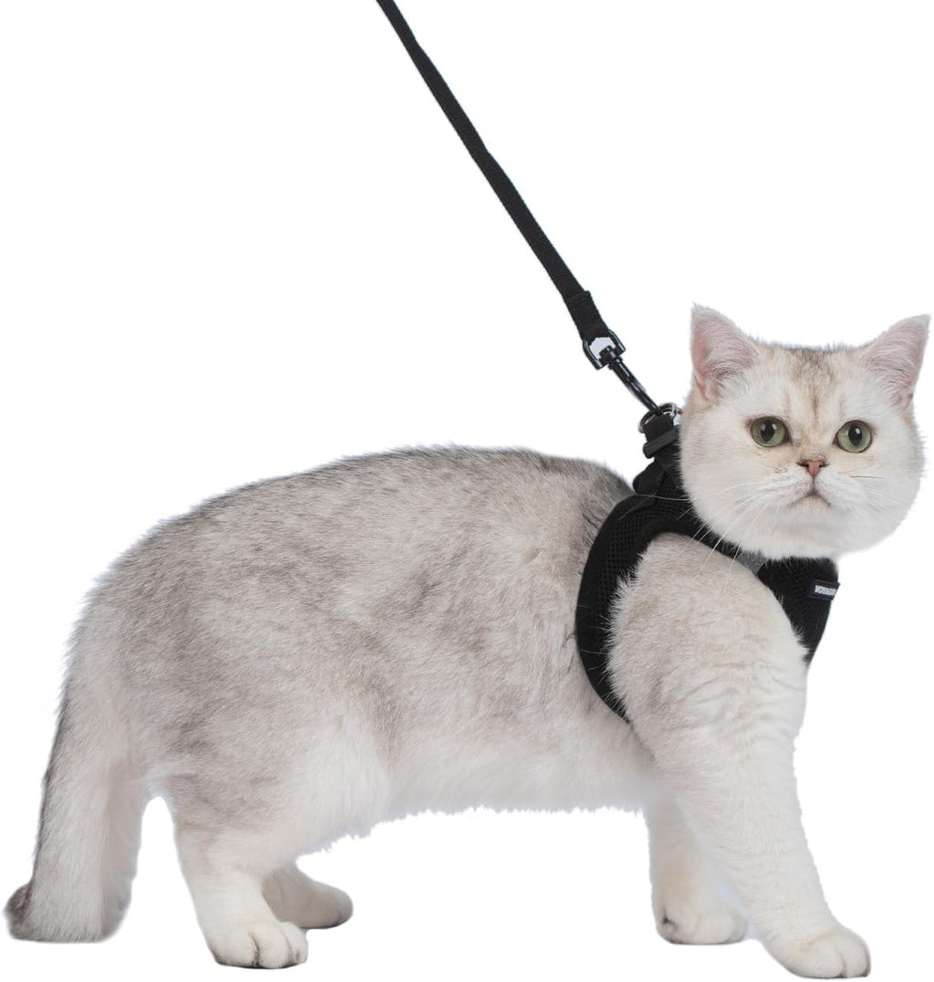 Voyager Step-In Air Cat Harness & Leash Set - Black, Xx-Small