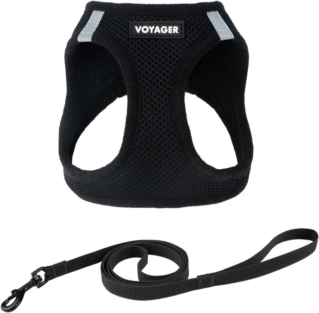 Voyager Step-In Air Cat Harness & Leash Set - Black, Xx-Small