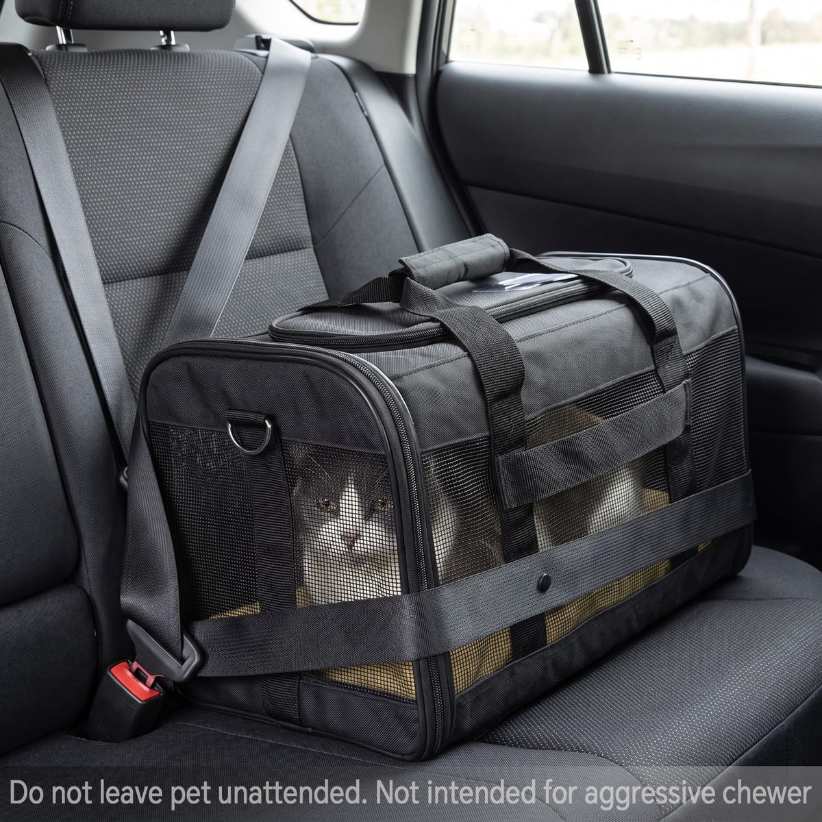 Cat Carrier Airline Approved, Soft-Sided Dog Carrier with Inner Safety Leash, Pet Transport Carrier for Small-Medium Cats Puppies up to 15 Lbs, Collapsible Travel Kitten Carrier Bag -Purple M