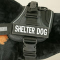 Side Badge, Set of Two Badges - Shelter Dog, Small