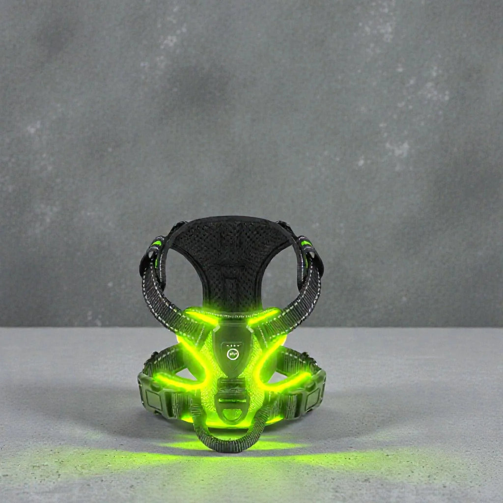 Glowpup – Harnais Pour Chien LED Rechargeable Avec Sangle Ajustable