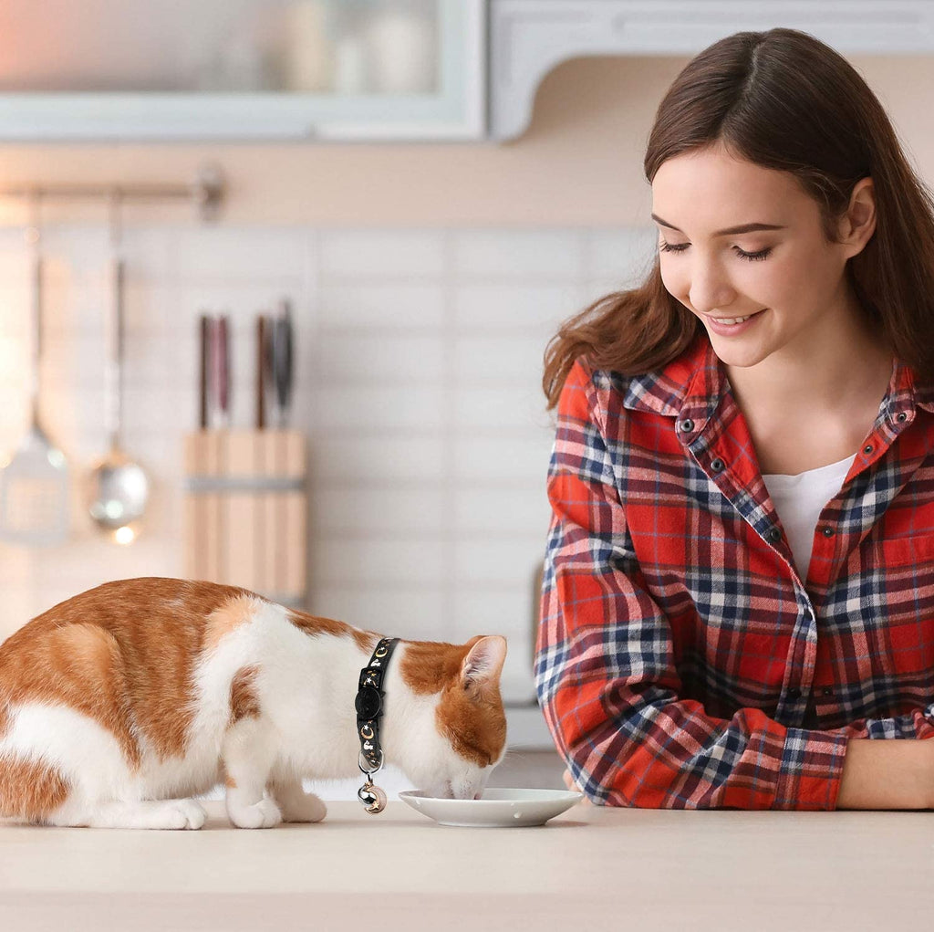 2PCS Breakaway Cat Collars with Bell Cute Kitty Glow in the Dark Adjustable Kitten Collars 7.9-13.0 Inch(Orange&Black)