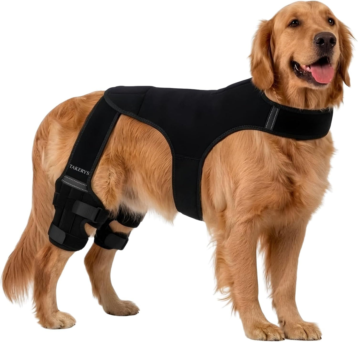 Dog Knee Brace for ACL Injury Support – Adjustable Pet Knee Stabilizer for Dogs, Joint Pain Relief, Recovery & Mobility Support for Small, Medium & Large Dogs (L Size)