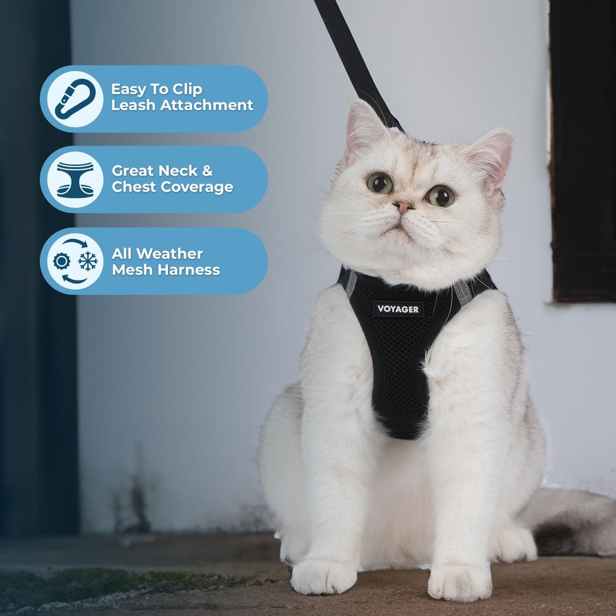 Voyager Step-In Air Cat Harness & Leash Set - Black, Xx-Small