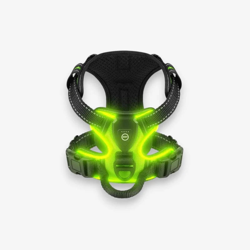 Glowpup – Harnais Pour Chien LED Rechargeable Avec Sangle Ajustable