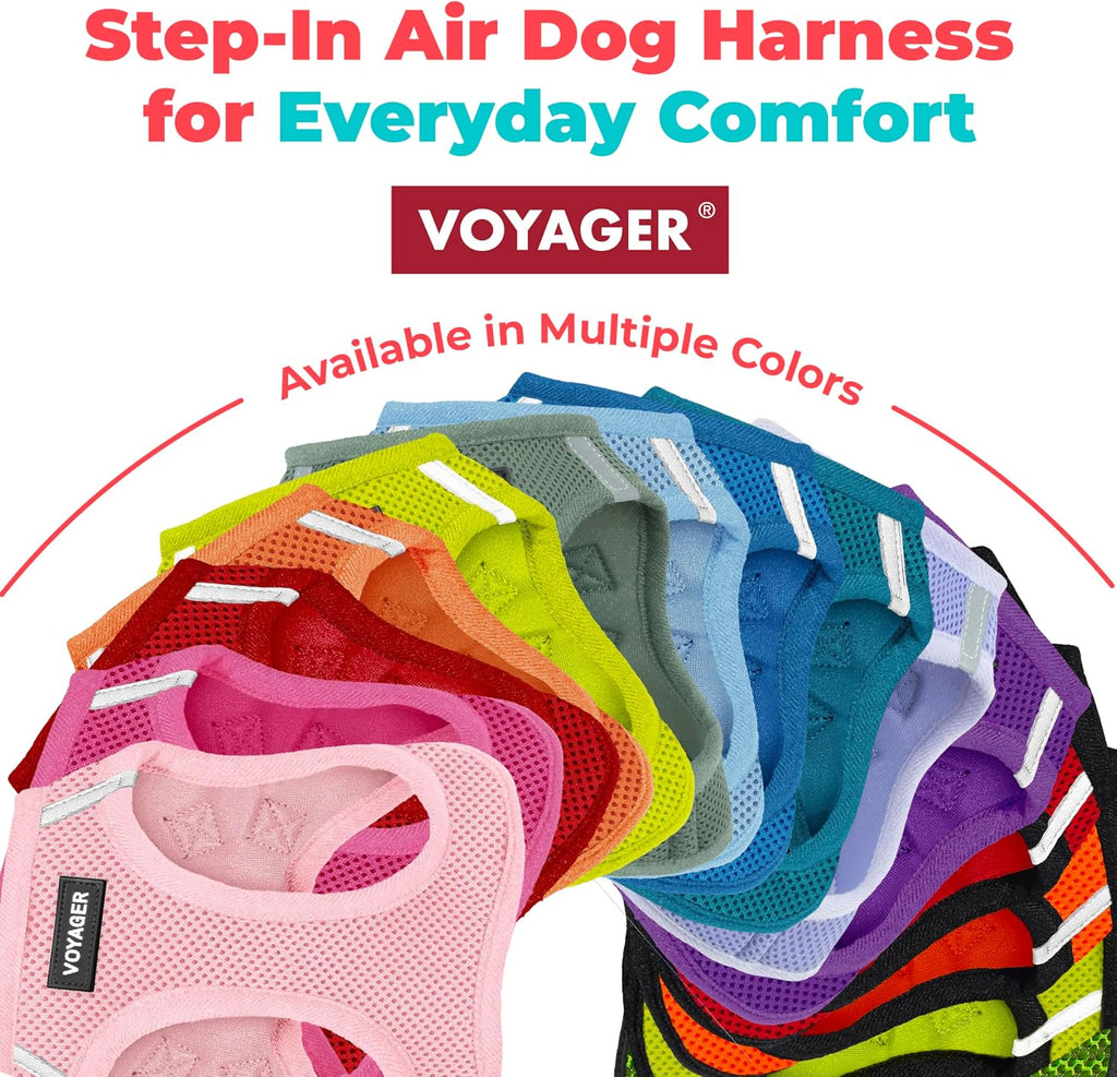 Voyager Step-In Air Cat Harness & Leash Set - Black, Xx-Small