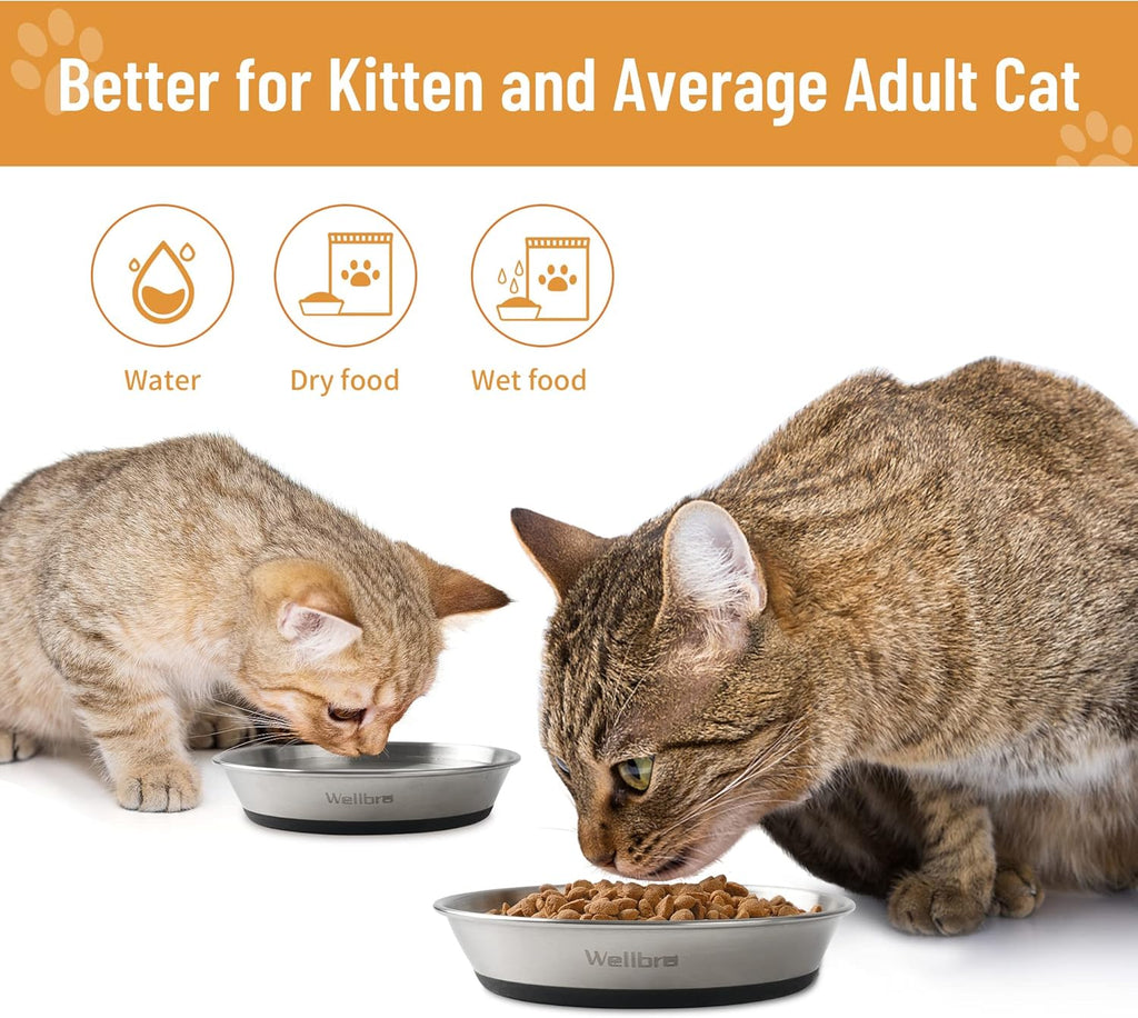 Cat Bowls, 304 Stainless Steel Non-Slip Wide Shallow, 2 Pack