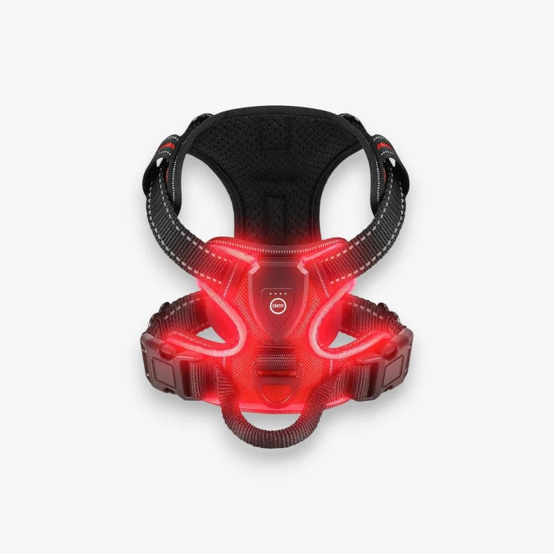 Glowpup – Harnais Pour Chien LED Rechargeable Avec Sangle Ajustable
