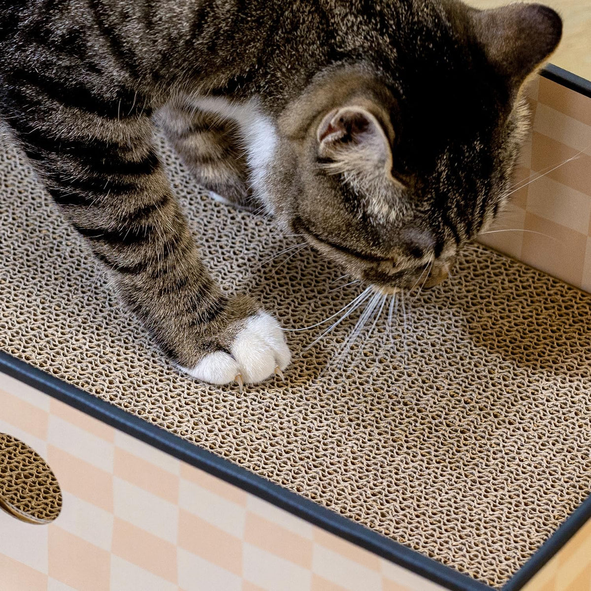 Cat Scratcher Box, Cardboard Pad, Bed for Indoor Cats, Chessboard
