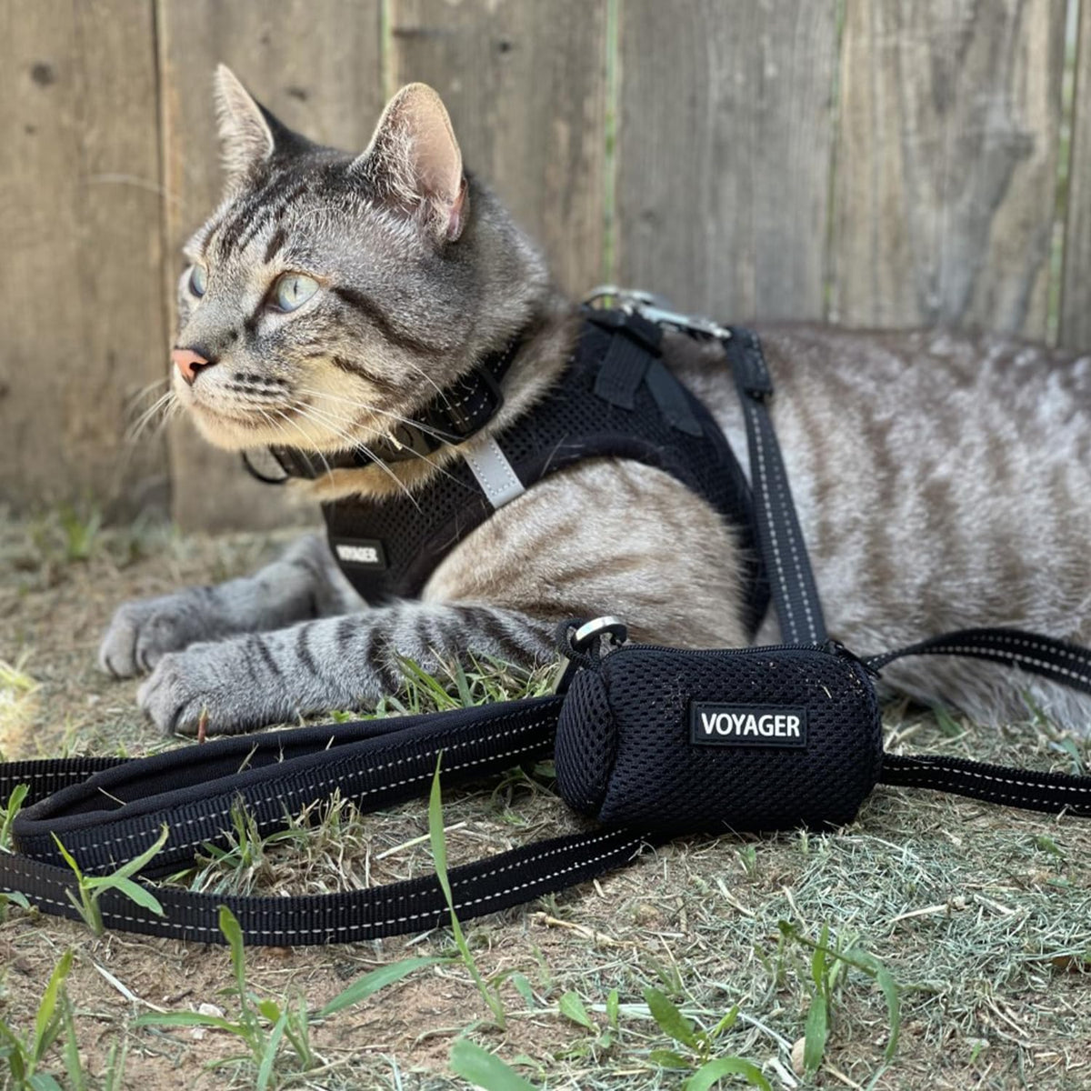 Voyager Step-In Air Cat Harness & Leash Set - Black, Xx-Small