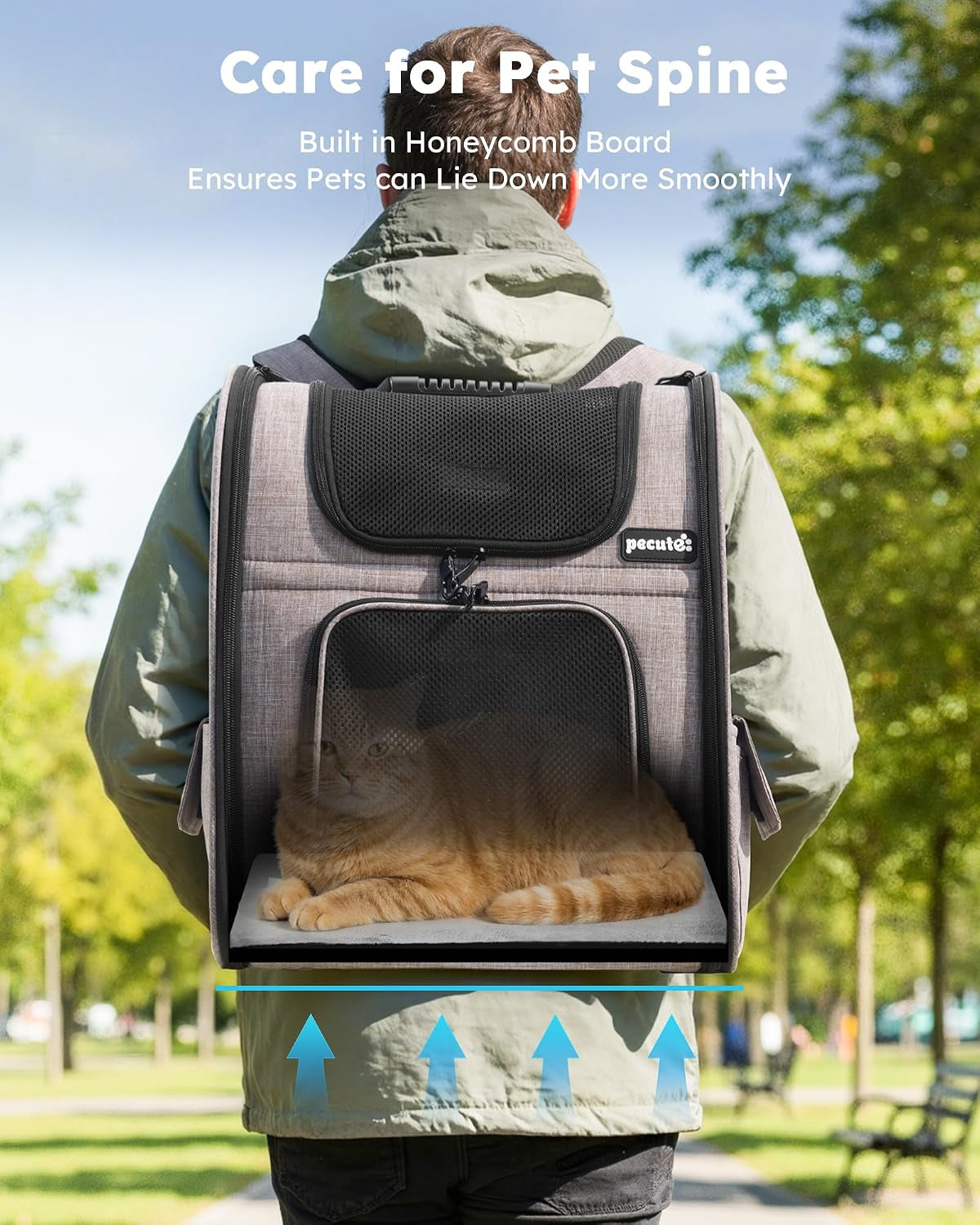 Cat Backpack Expandable, Cat Backpack for Cat with Breathable Window