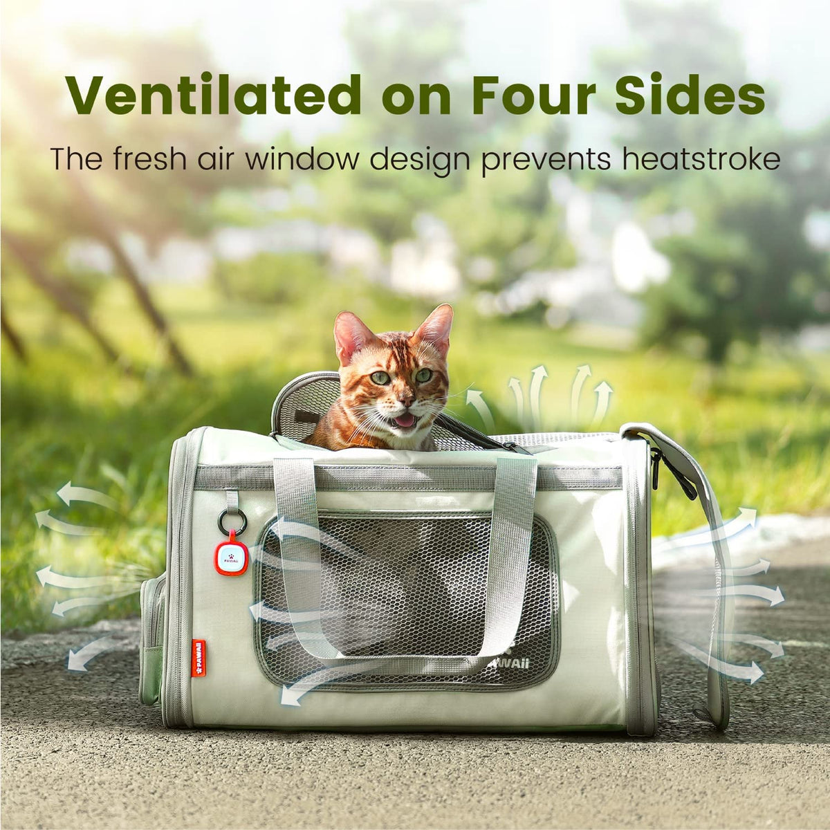 Cat Carrier Airline Approved Expandable Breathable Safety Leash