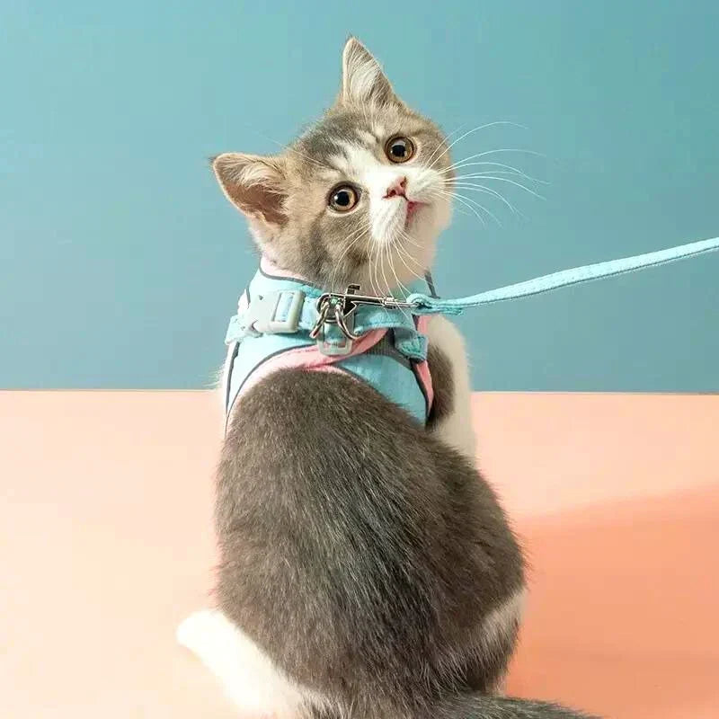 Katzengeschirr Mit Leine – Komfortabler Sitz Mit Reflektierenden Sicherheitsstreifen