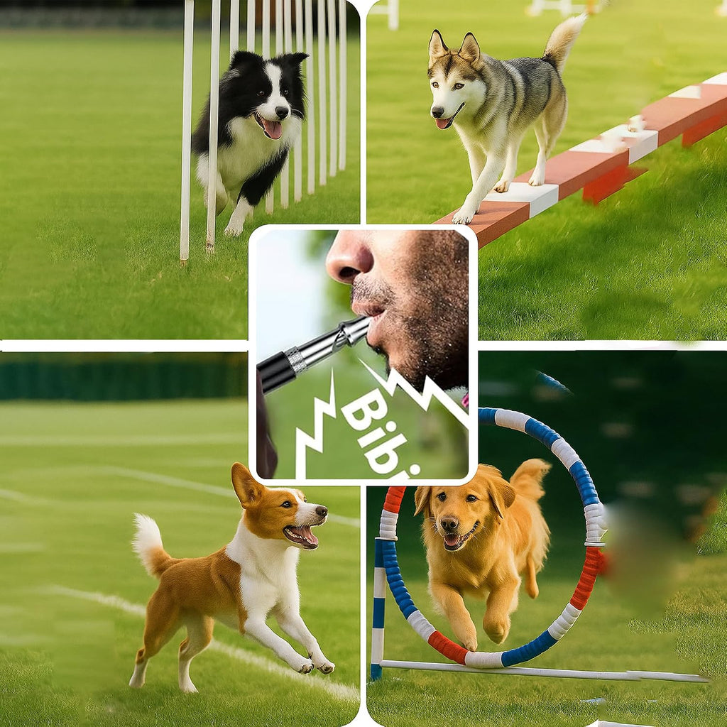 Dog Whistle Set of 5 | 2PCS Premium Quality Adjustable Dog Whistles with 2 Black Lanyards and a Dog Clicker | Ultrasonic Dog Whistle to Stop Barking Neighbors Dog
