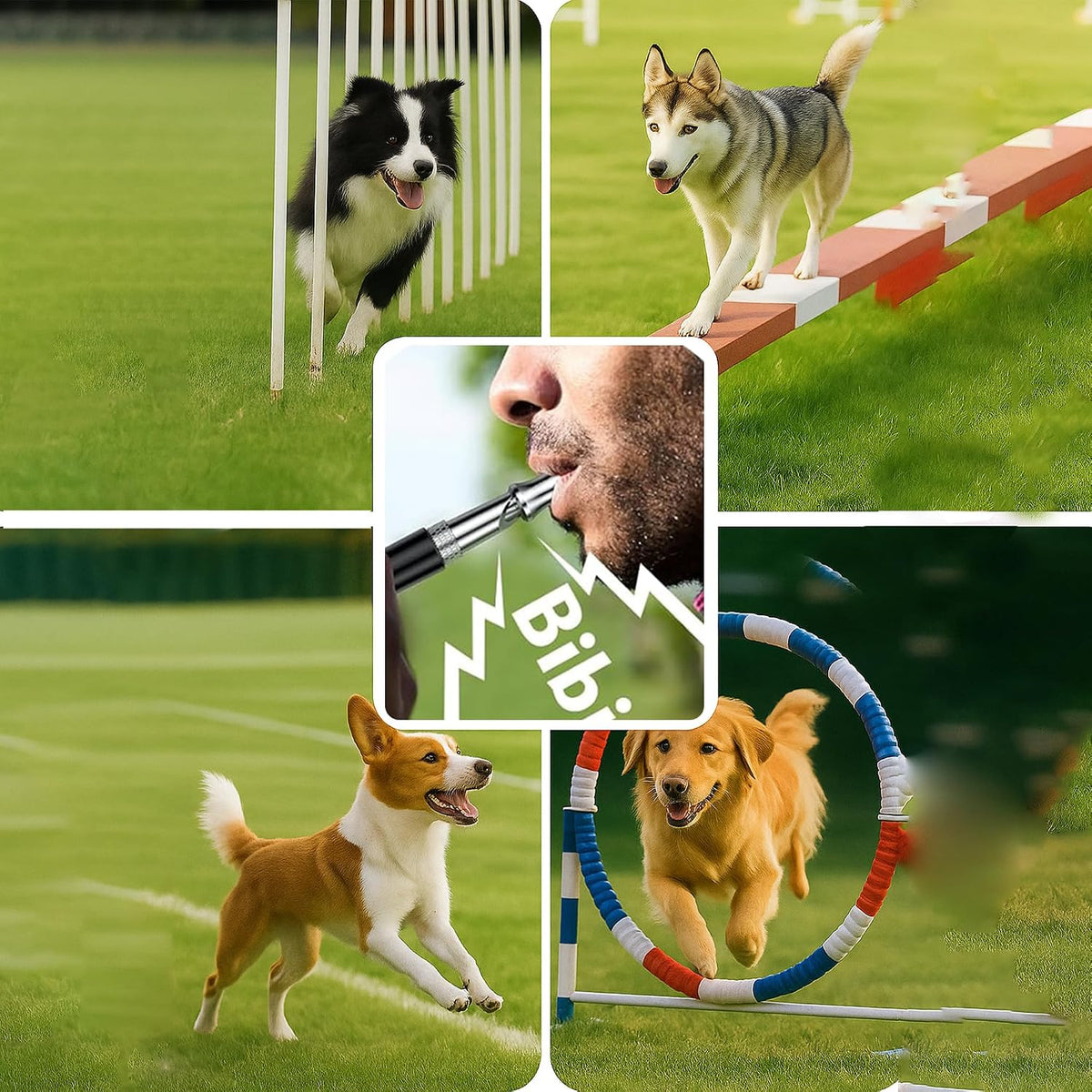 Dog Whistle Set of 5 | 2PCS Premium Quality Adjustable Dog Whistles with 2 Black Lanyards and a Dog Clicker | Ultrasonic Dog Whistle to Stop Barking Neighbors Dog